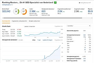 160 backlinks verdeeld in 80 relevante artikelen op sterke domeinen met traffic-voorbeeld2-jpg