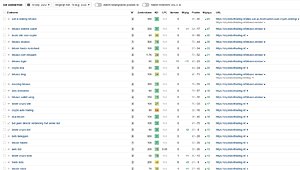 40 artikelen door ons gemaakt +/- 1000 woorden en geplaatst op DR 20+-cryptobottrading-09-jpg