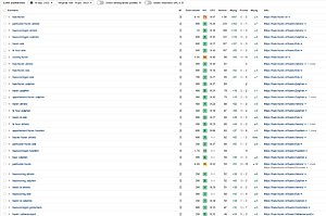 40 artikelen door ons gemaakt +/- 1000 woorden en geplaatst op DR 20+-huis-huren-09-jpg