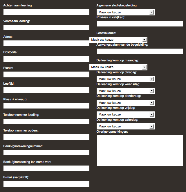 Raar probleem met input/css-schermafbeelding-2010-om-png