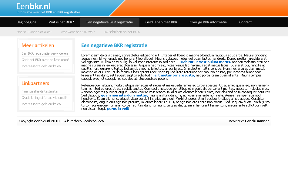 BKR domeinnaam inclusief unieke teksten + unieke layout!-eenbkr-png