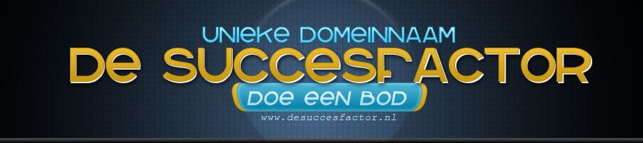 www.desuccesfactor.nl-header5-jpg