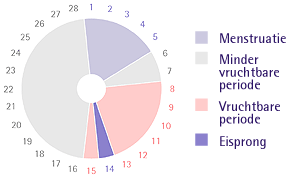 Vruchtbare Dagen Berekenen (.nl)-menstruatiecyclus-gif