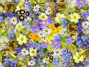 Bloemensoorten.nl | 1.600 x exact match-flowers-colorful-plants-bloom-68507-jpg