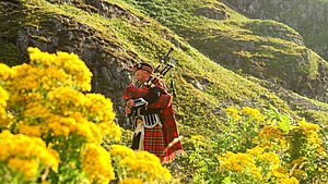 Schotland Topper: Schotland.net | 27.100 x op gezocht| Geen reserve-photo-man-red-black-and-white-plaid-traditional-suit-848748-jpg
