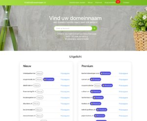 2000+ namen uit eigen portfolio VindUwDomeinnaam.nl (update)-schermafbeelding-2023-03-om-01-jpg