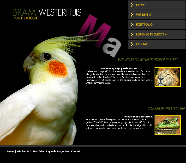 Webdesigner/Photoshop-designer |-portfoliosite-jpg