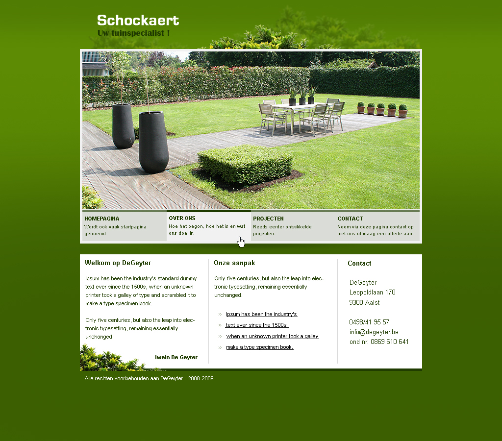 Webdesigner bied 2 actie's aan-homepagina2-jpg
