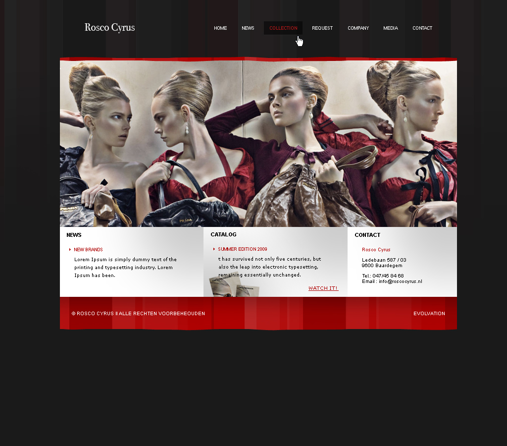Webdesigner bied 2 actie's aan-roscocyrus_indexv2-jpg