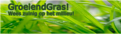 Banners ontwerpen-banner-png