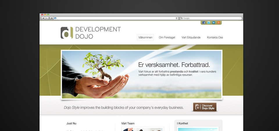 Professionele Web 2.0 Website voor 149 EUR!-foliogreen-jpg