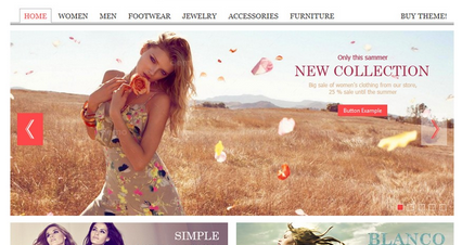 Professionele webshop voor elk budget-screen-shot-2013-02-at-png