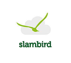 -slambird1-jpg