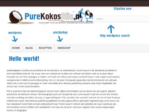 Zoekveld prestashop / wordpress - 1 resultaatpagina-situation-now-png