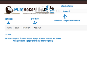 Zoekveld prestashop / wordpress - 1 resultaatpagina-situation-future-png