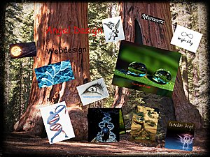 AngelDesign4you.com maakt de perfecte website of webshop-sequoia_trees-jpg