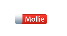 Een eigen webwinkel in 3 stappen! | Ikstarteenwebwinkel.nl-mollie1-png