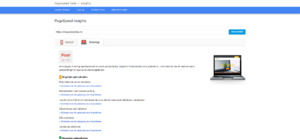 Wij verhogen de Google PageSpeed score van je WordPress website!-gpsi-desktop-vooraf-png