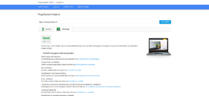 Wij verhogen de Google PageSpeed score van je WordPress website!-gpsi-desktop-achteraf-png