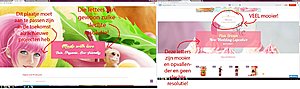 Afmaken van een WP website omdat huidige bouwer (vanuit sitedeals) is gevlogen !-jpg