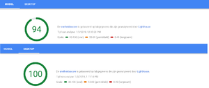 Google Page Speed Insights verbeteringen (garantie van score tussen 80 en 100).-afbeeldingpagespeed-png