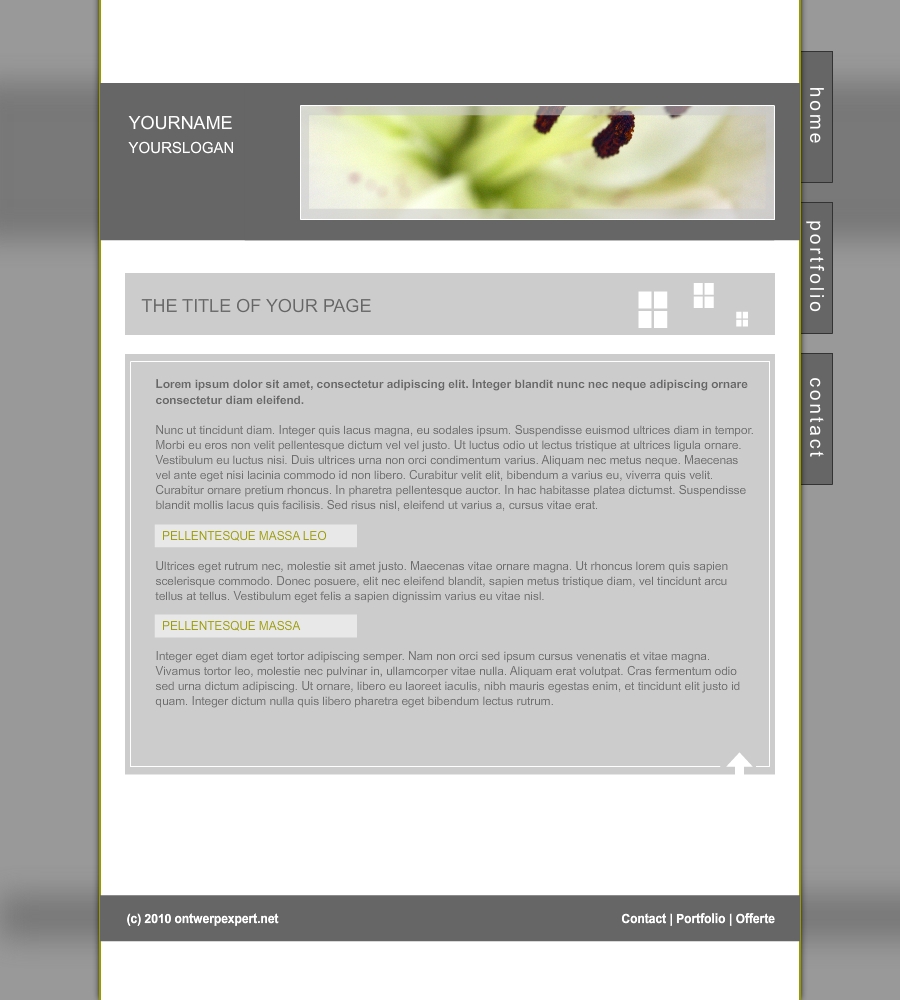 Zakenlijke / portfolio - layout check-website-jpg