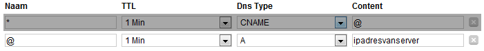 WIldcard DNS instellen bij Transip-wildcart-png