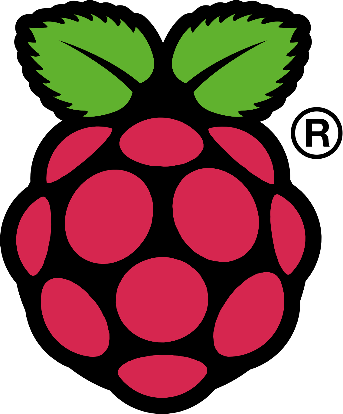 [Prelution] Gratis Raspberry Pi-raspi_colour_r-png
