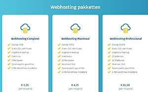 Super snelle Litespeed hosting, support via Whatsapp/Telefoon/E-mail (7 dagen p/w!)-hosting-jpg