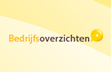 Bedrijfsoverzichten.nl(logo, 3 pagina's, incl domein) | &#8364;600-preview1-jpg