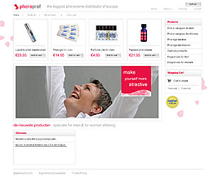 Stijlvolle layout productensite + logo | &#8364;300,--zakelijk-jpg