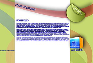 Flash Portfolio | &#8364;75,--plaatje-jpg