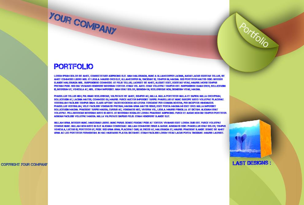 Flash Portfolio | &#8364;75,--plaatje-jpg