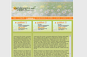 Mooie professionele layout | &#8364;30,--voorbeeld-cvrdesigns-jpg