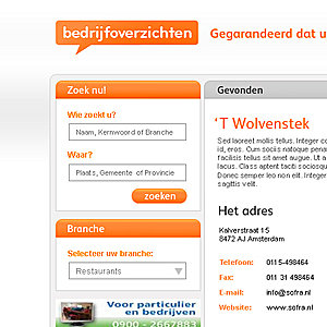 Bedrijfoverzichten.nl (design, logo, basing en domein) | &#8364;600,--untitled-jpg
