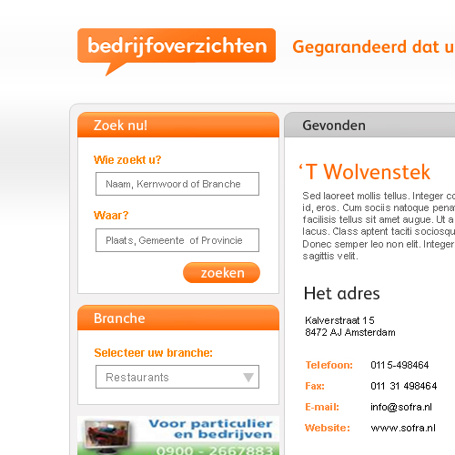 Bedrijfoverzichten.nl (design, logo, basing en domein) | &#8364;600,--untitled-jpg