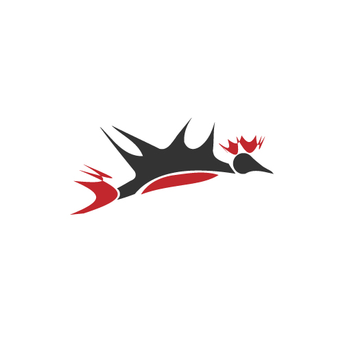 Strakke, professionele logo's | &#8364;80,--logo-bird-wip-jpg