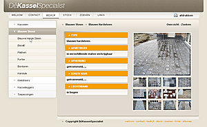 Zakelijke layout-dekasseispecialist_sub_oranje-jpg