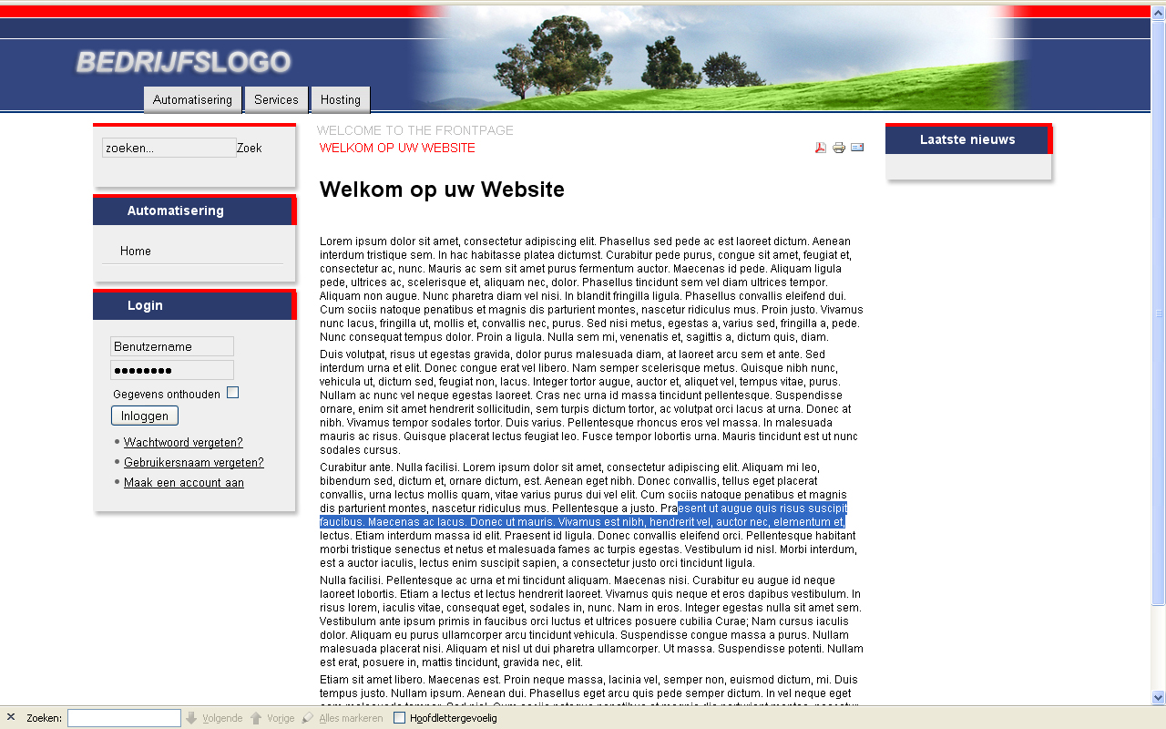 Professionele bedrijfswebsite incl. CMS-website-jpg