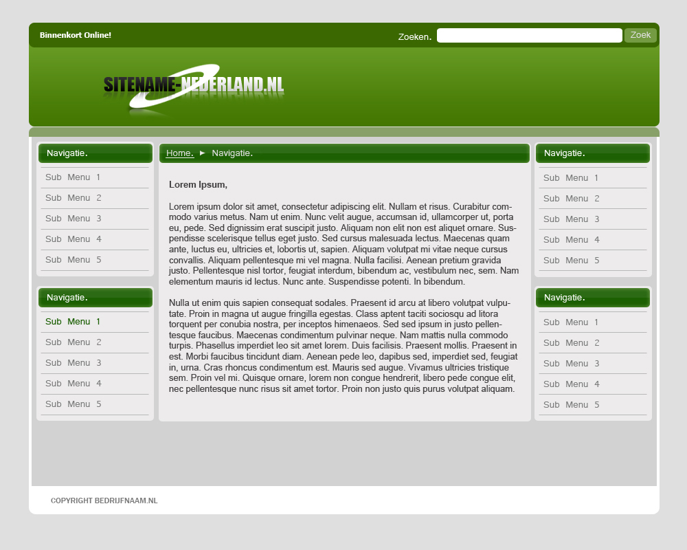Multifunctionele Layout.-template1-copy-jpg