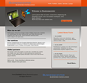 Zakelijke, strakke business layout-business3-jpg