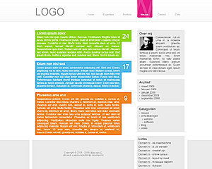 Strakke blog layout-portfolio-blog-jpg