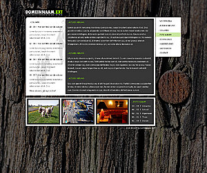 Weblog lay-Out (excl.basing)-weblogdesign-jpg