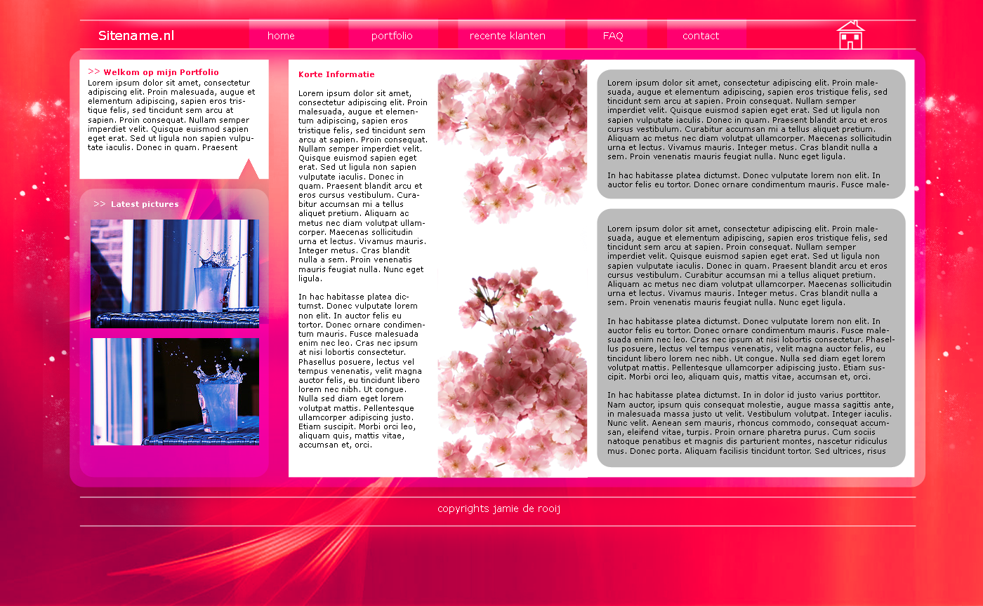 Mooi Portfolio layout!-portfolio-png