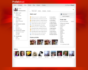 Profielen layout voor een community-profielstraat-png
