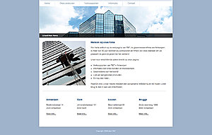Zelfstandige/Bedrijfslayout-screenshotbusinessglazenwasser-jpg
