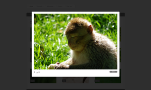 Prachtige complete website in CSS-image3-png