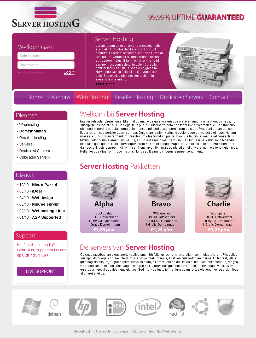Hosting layout incl Vector logo-layout_serverhosting-png