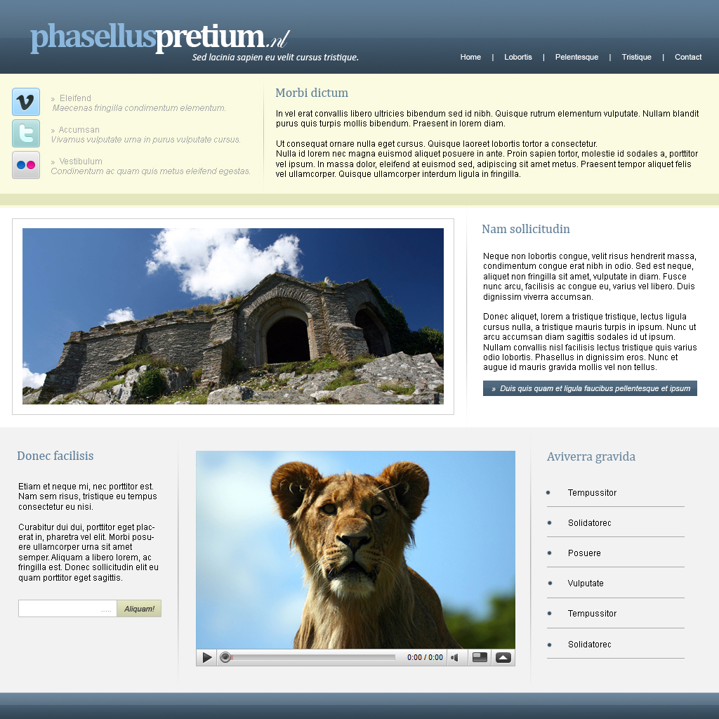 Zakelijke lay-out - 5 pagina's-index-jpg