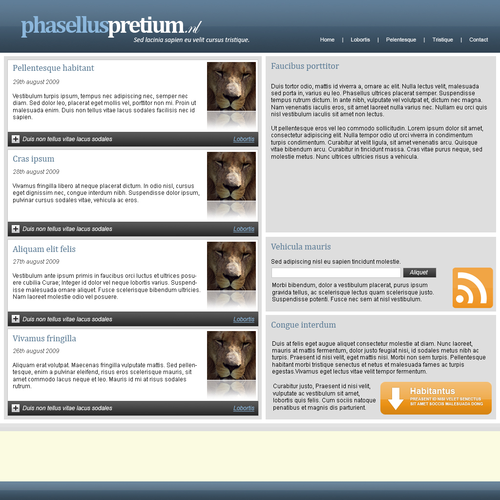 Zakelijke lay-out - 5 pagina's-index2-jpg